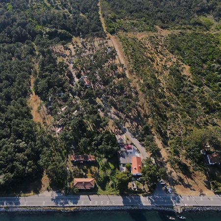 Parque De Campismo Orbitur Sao Jacinto Hotell Exteriör bild